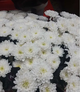 Доставка цветов и букетов в Чебоксарах.